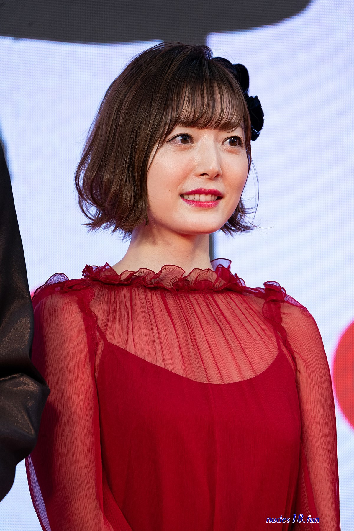 choose saegusa model page