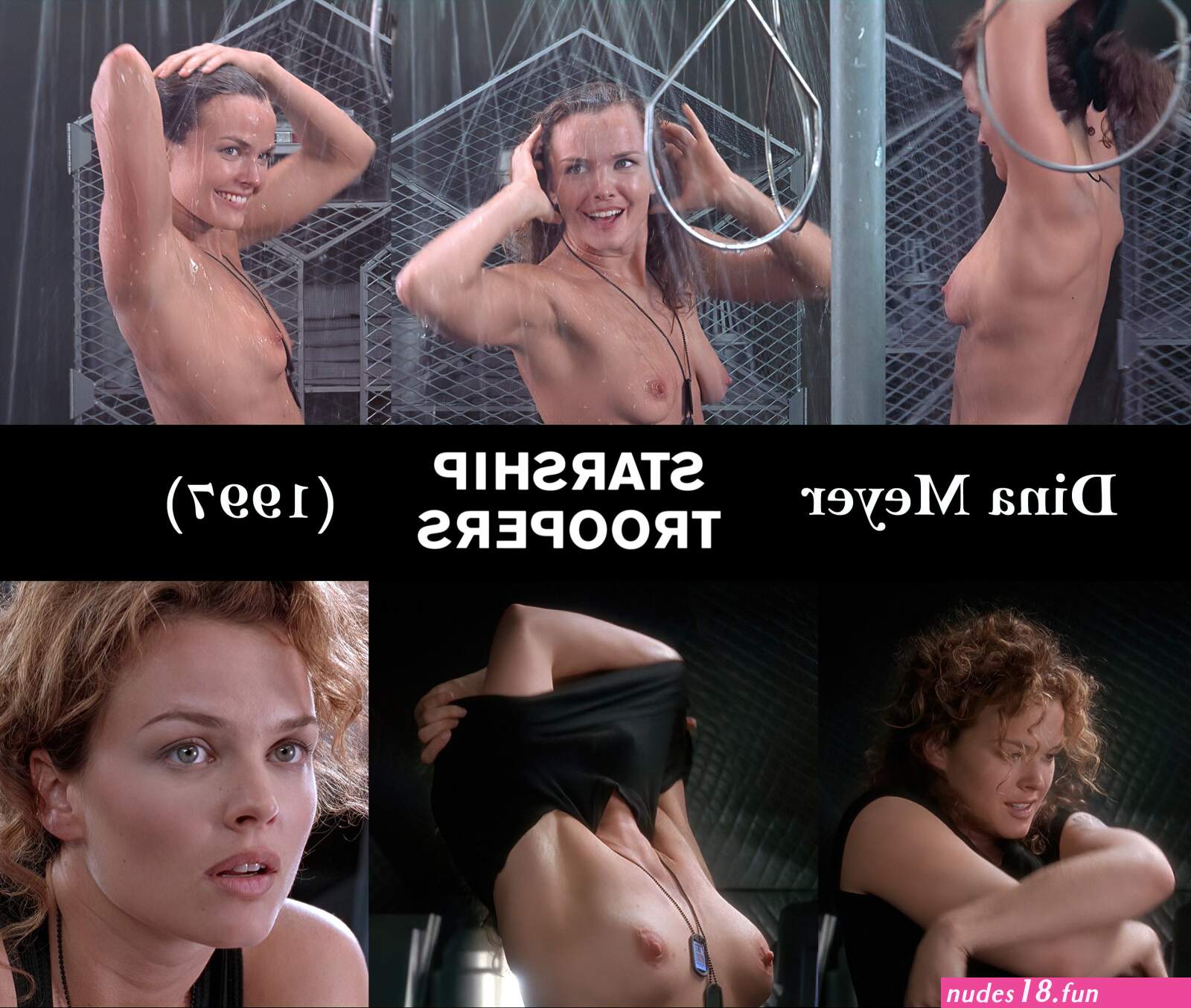 Dina Meyer Porn