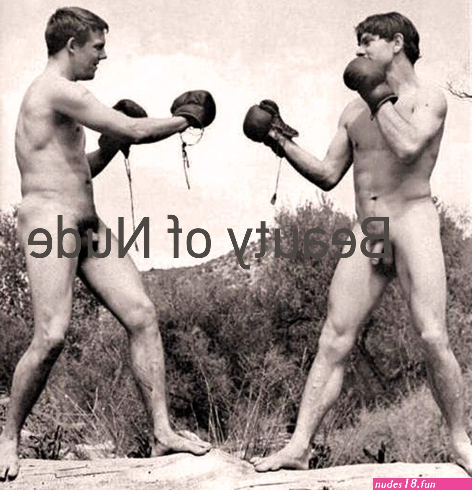 Mature Content Male Boxing Guys Nude. Full Frontal Man Homoerotic Vintage Print