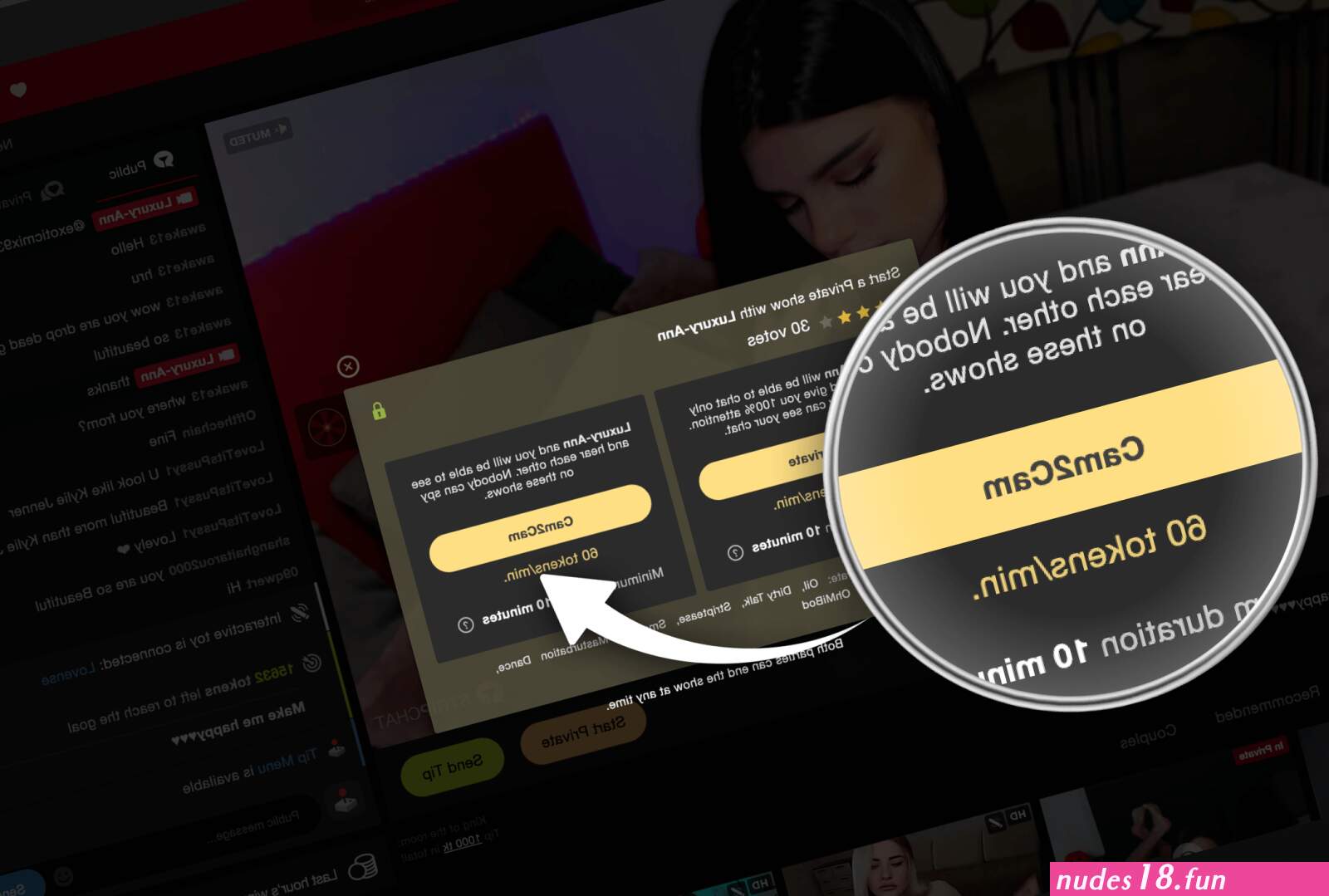What is a Cam2Cam show?