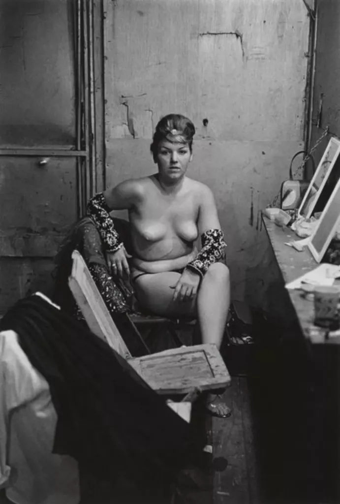 diane-baker-nude.webp