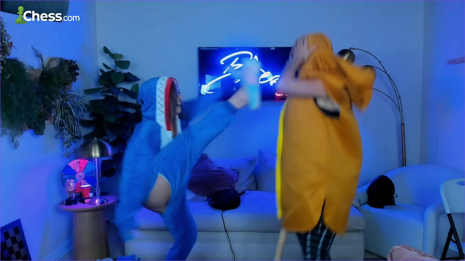 Twitch Stream Video