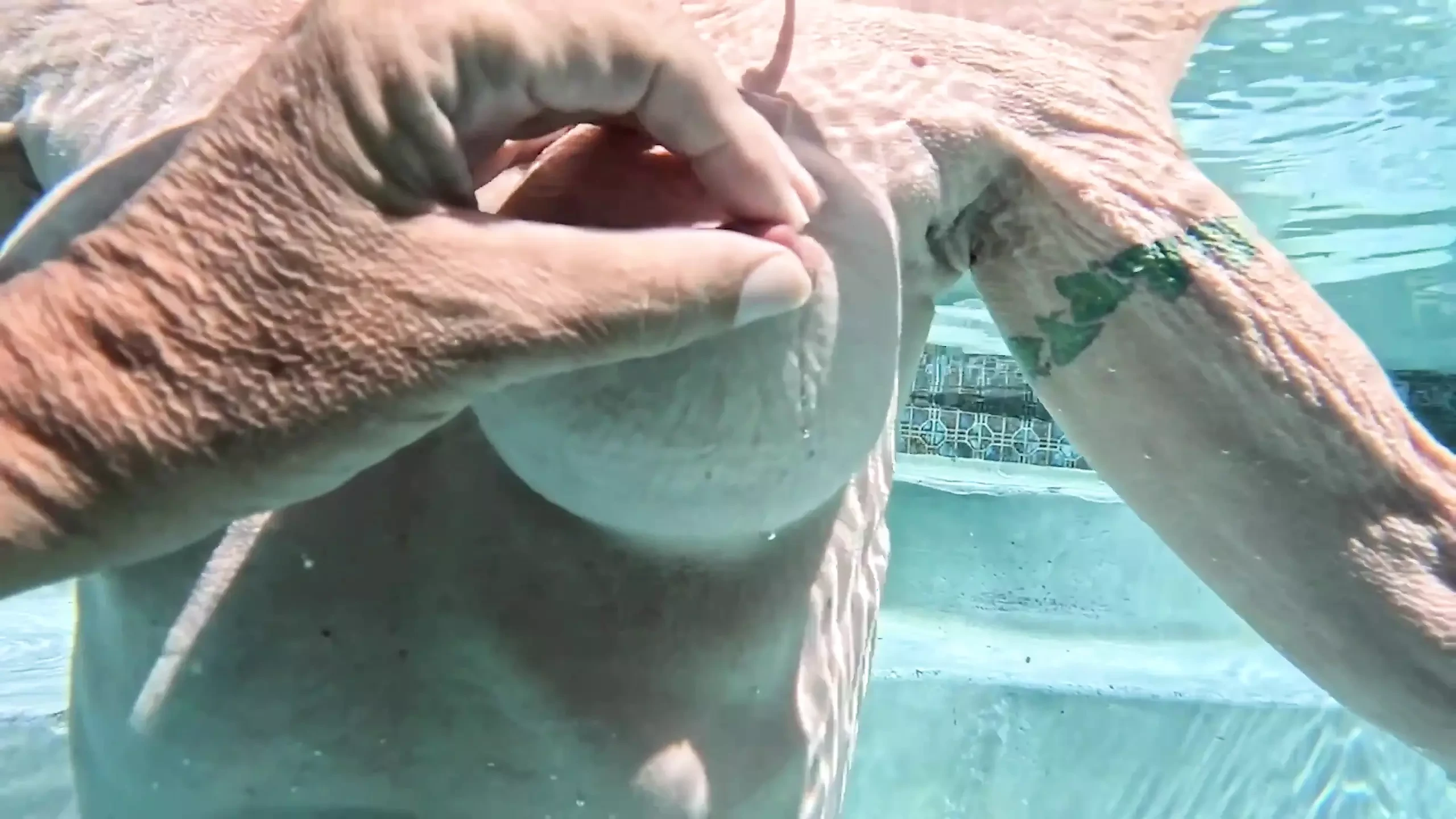 Overunderwater Pool Shots and a Long Slow-mo Outdoor Shower: British Amateur Porn