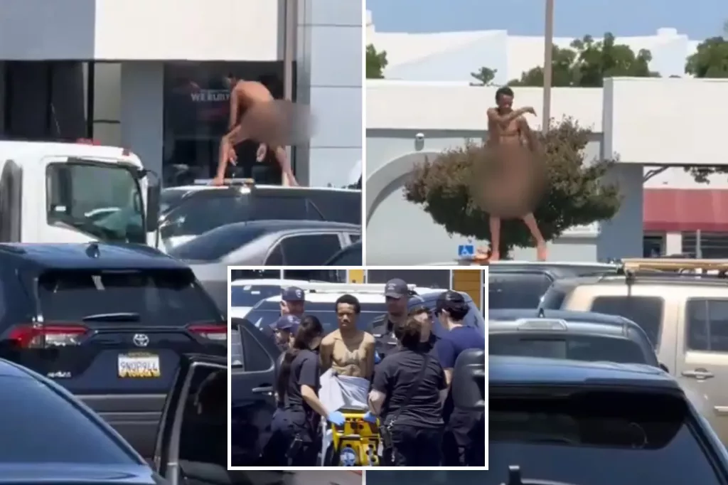 naked-policeman.webp