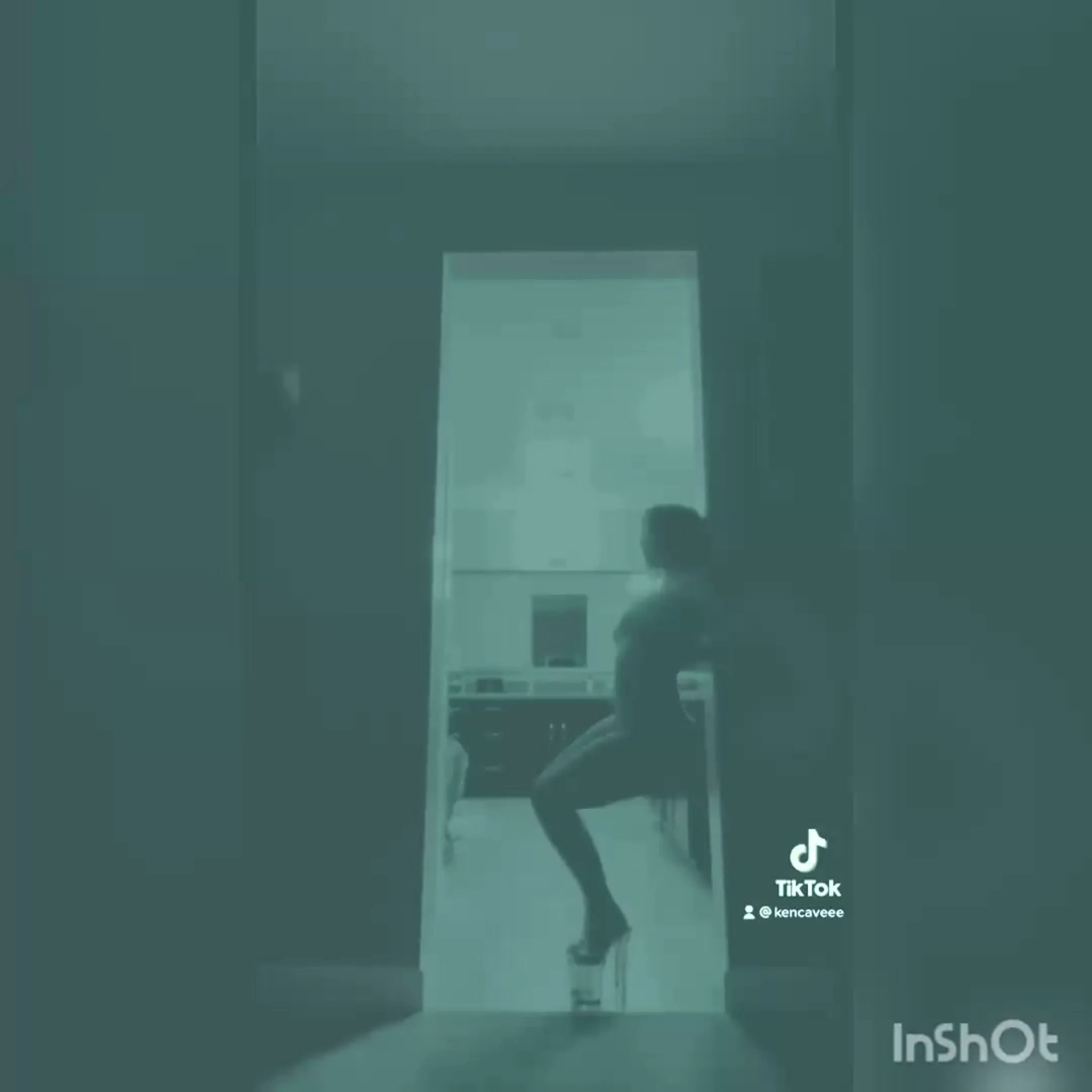 Silhouette tiktok challenge 18 watch online