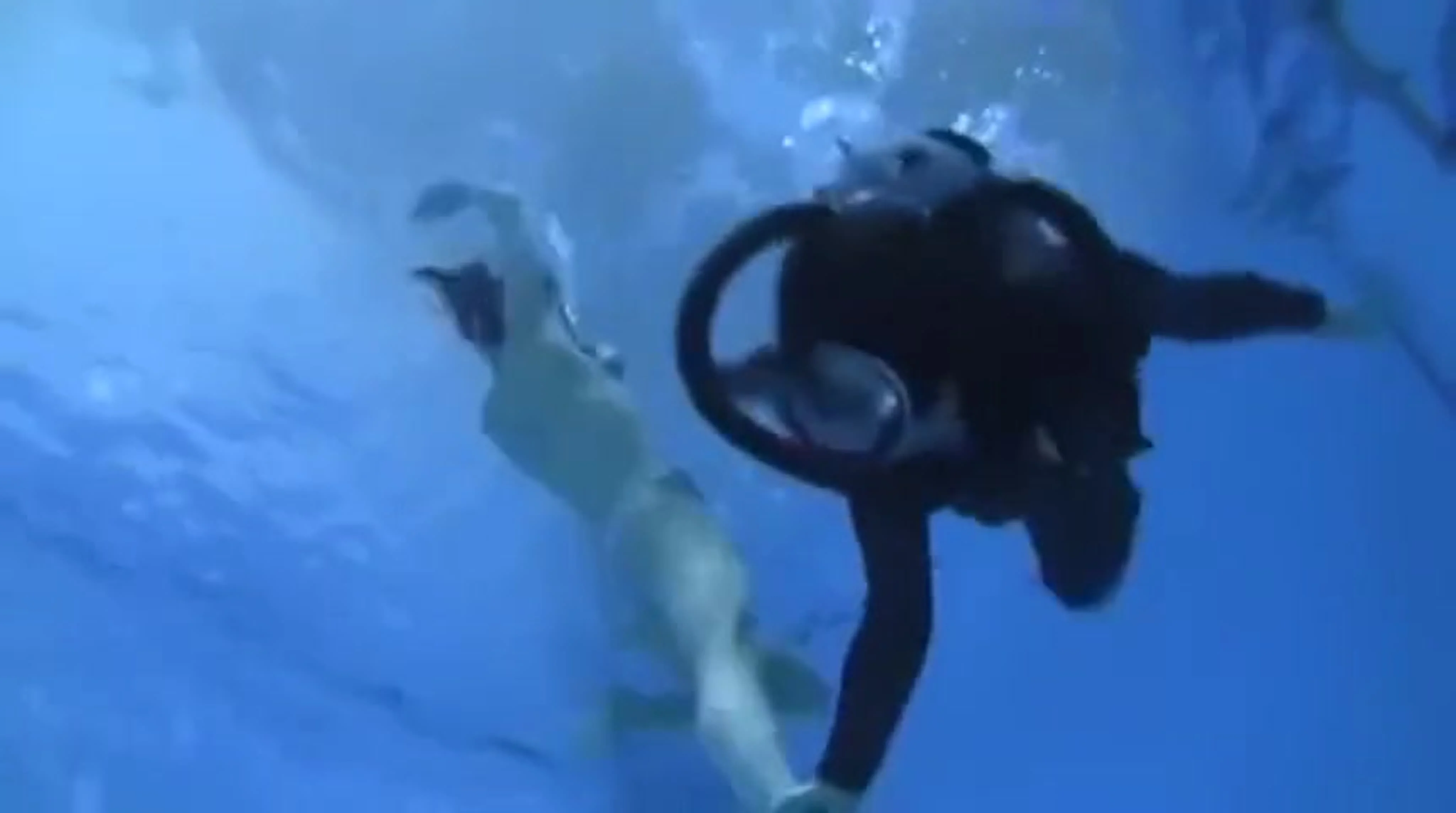 Scuba attak