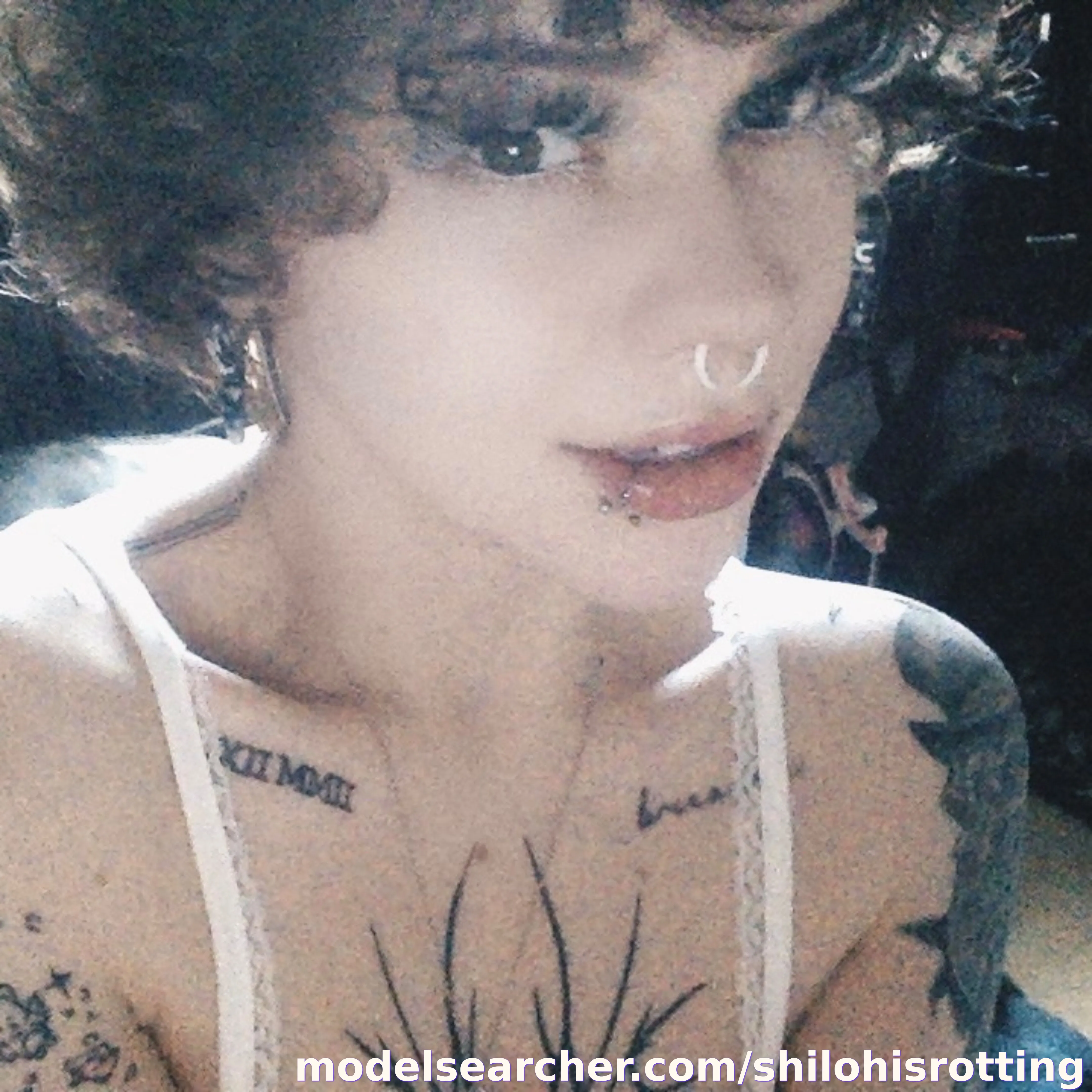 Onlyfans Profile Content
