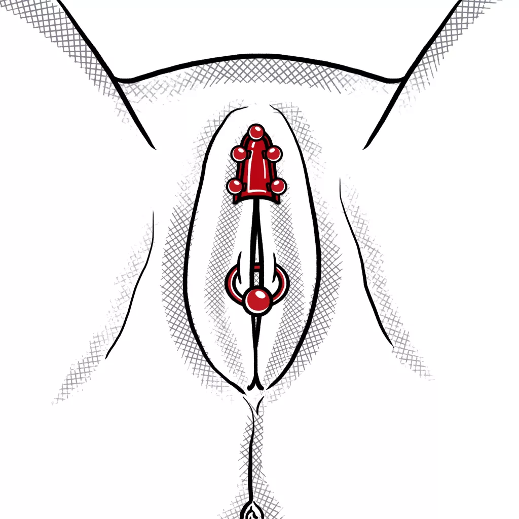 heavy-pussy-rings.webp