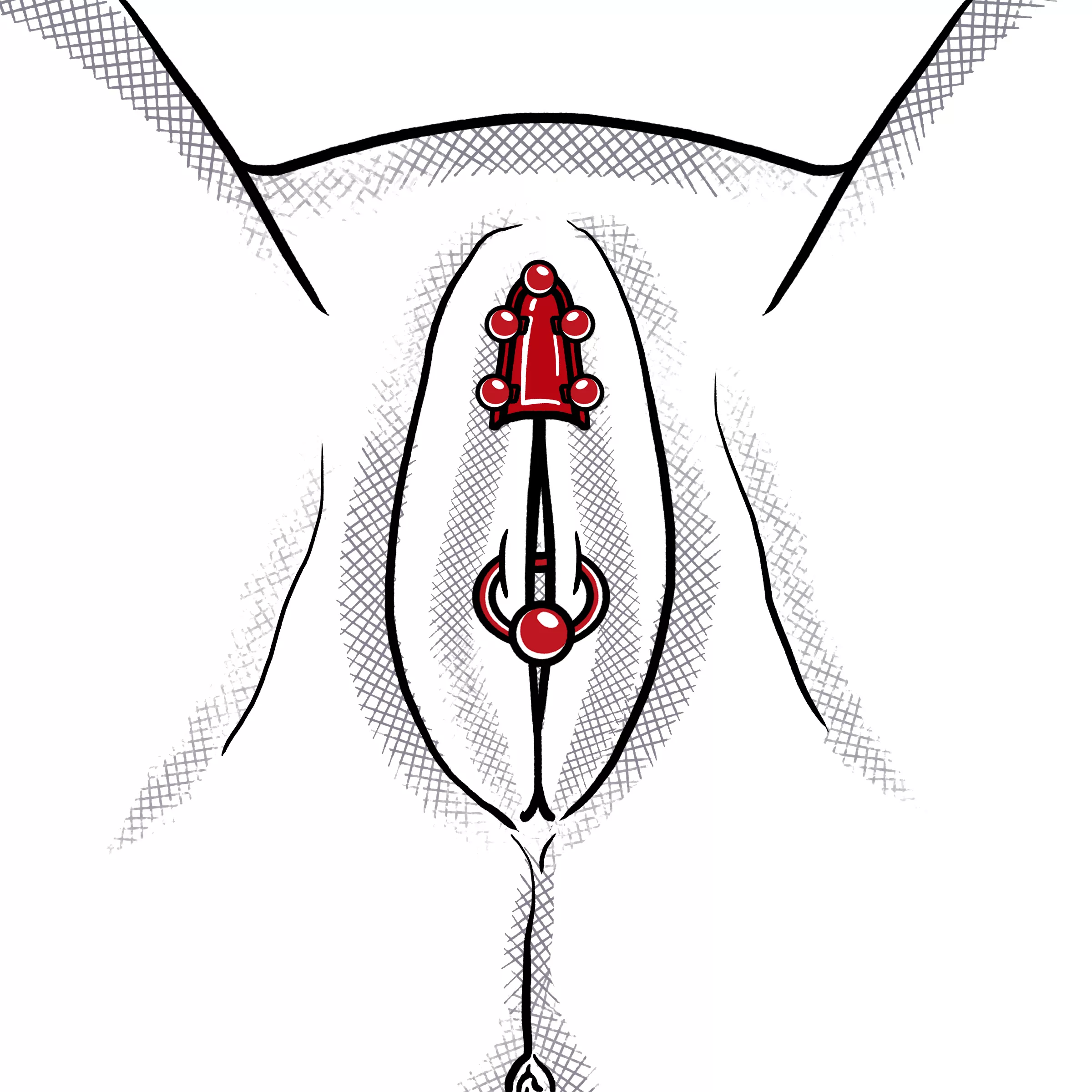 The Chastity Piercing