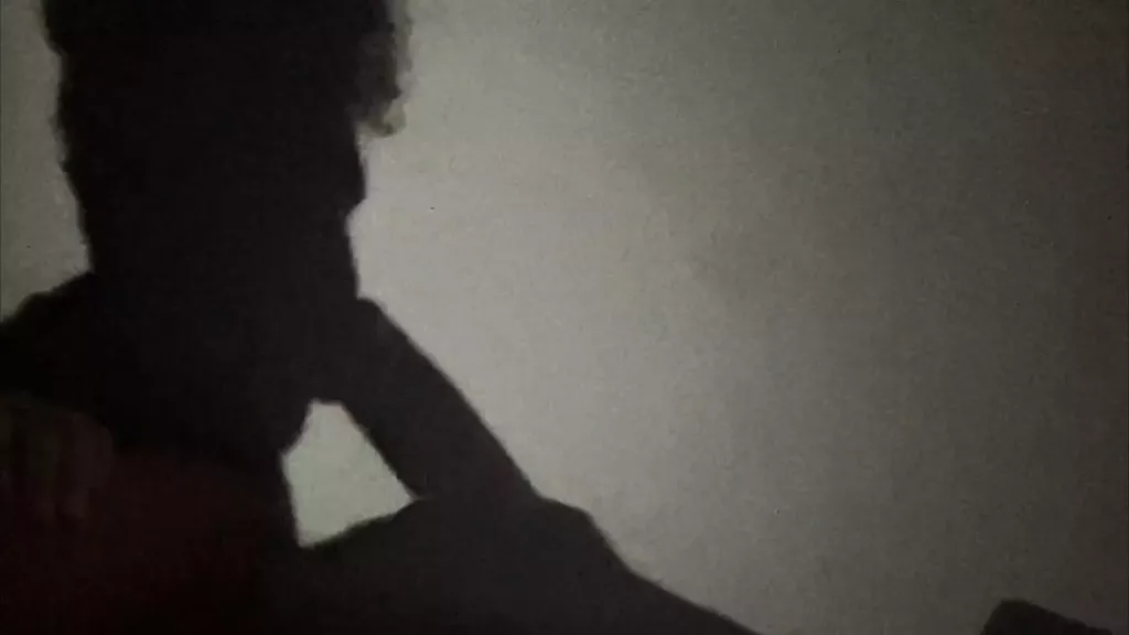 silhouette-fucking.webp