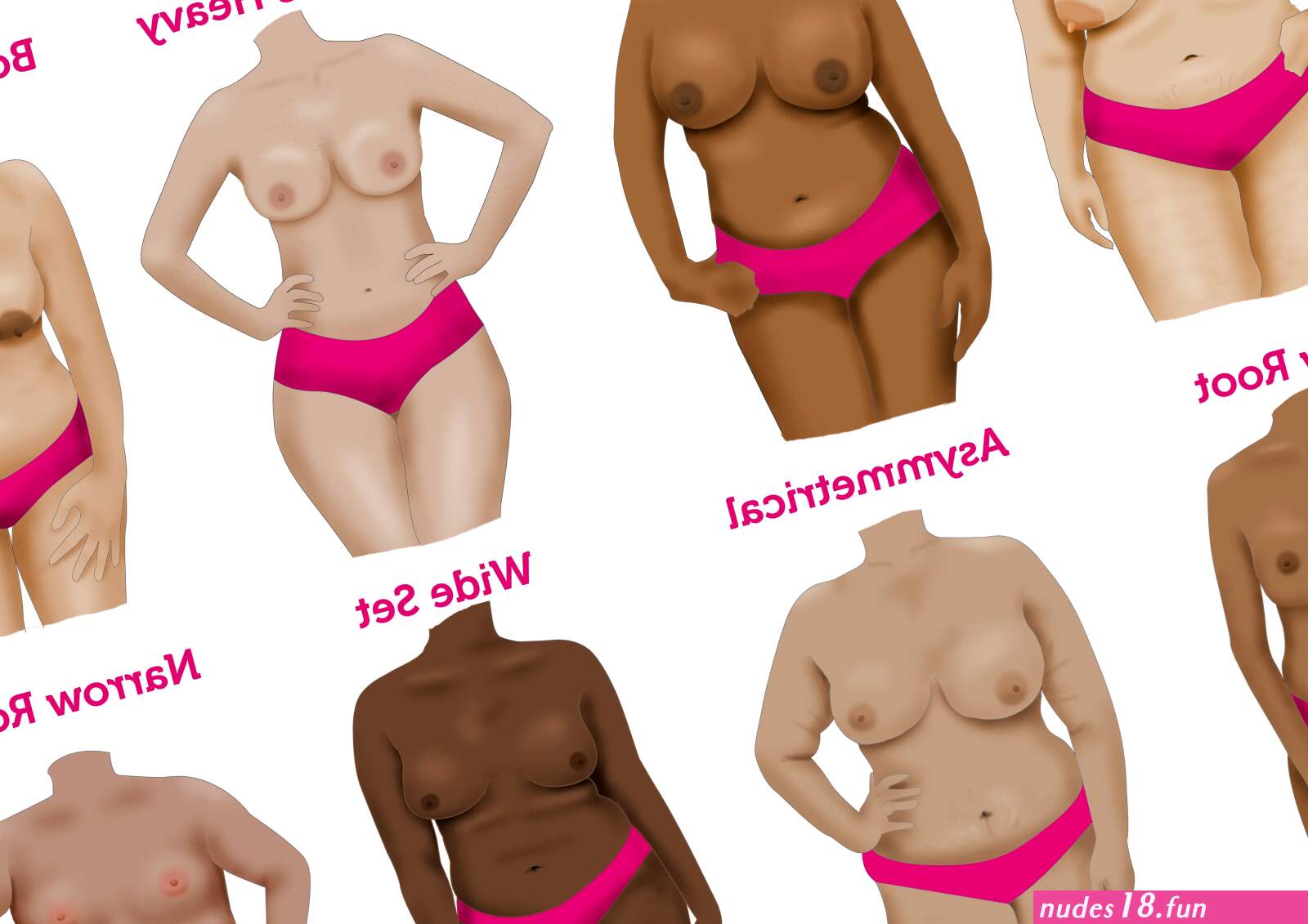 What Type of Boobs do you have?